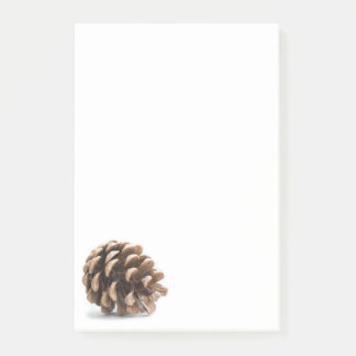 Single pinecone post-it notes