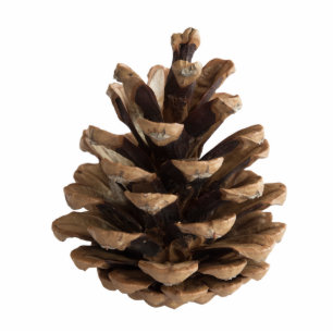 Single pinecone statuette