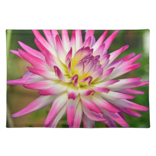 Single pink and white dahlia flower cloth placemat