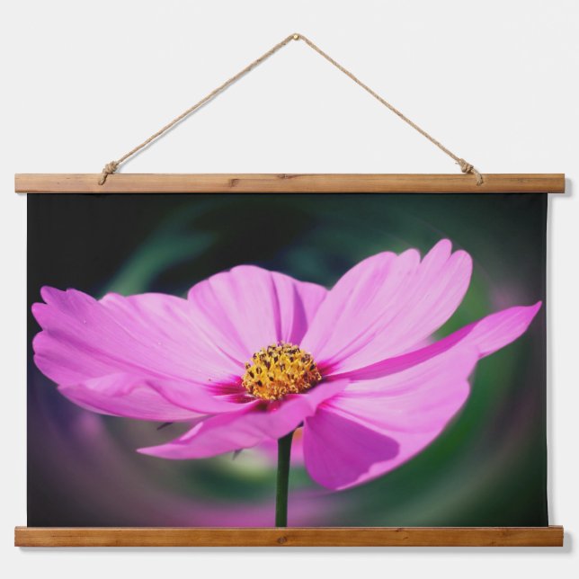 Single Pink Cosmos Flower  Hanging Tapestry (Front)