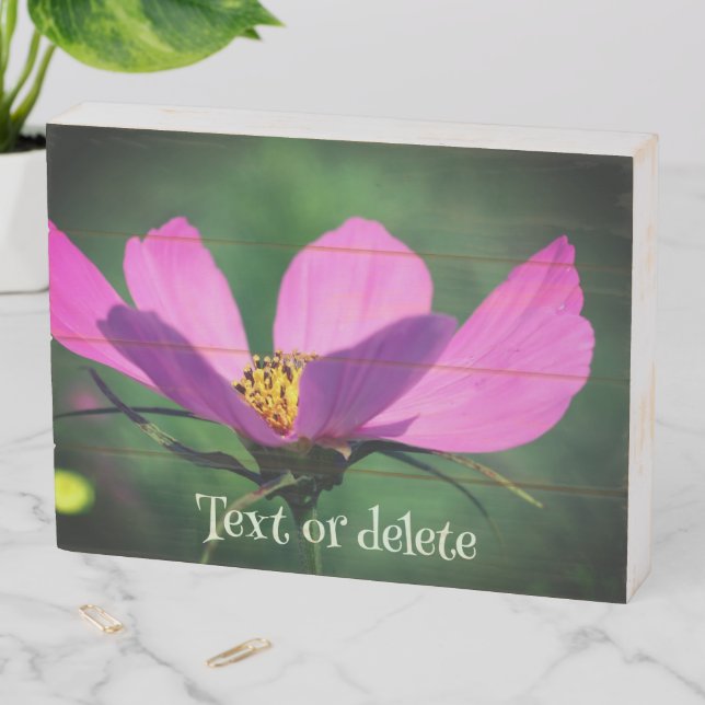 Single Pink Cosmos Flower In Bloom Personalized Wooden Box Sign (In Situ Horizontal)