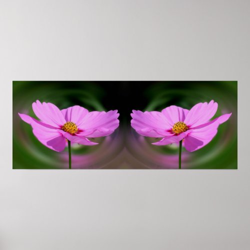 Single Pink Cosmos Flower Mirror Abstract Poster