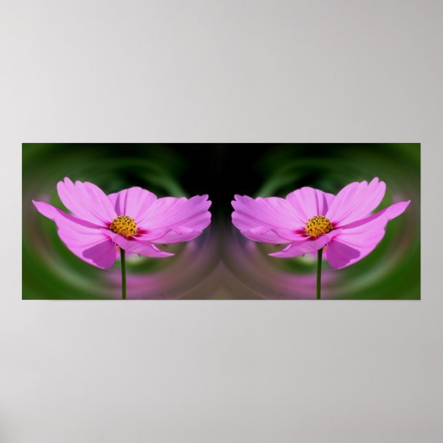 Single Pink Cosmos Flower Mirror Abstract Poster (Front)