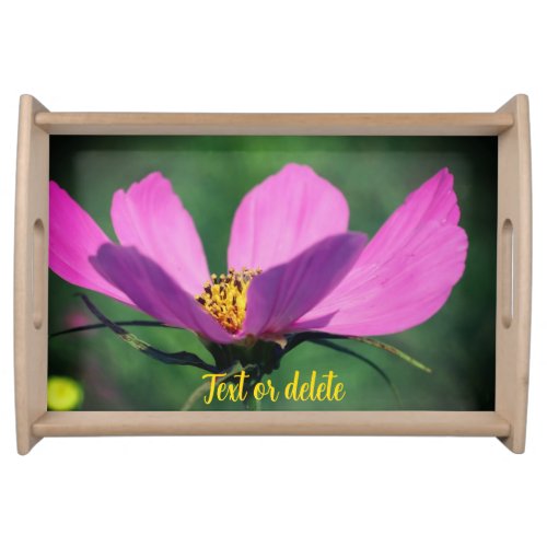 Single Pink Cosmos Flower Personalized Serving Tray