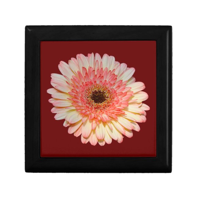Single pink gerber flower gift box (Front)