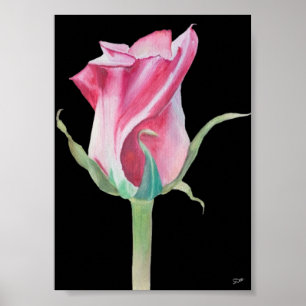Single Pink Rose Premium Canvas Poster (5x7)