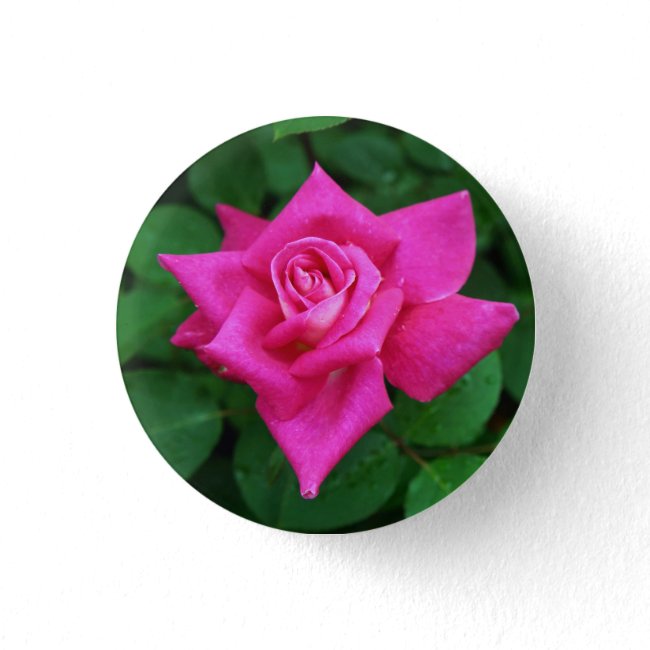 Single Pink Rose Round Button