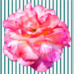 Single Pink Rose Sculpture<br><div class="desc">This Single Pink Rose design from Zazzle and Elizabeth's Creative Pursuits features a single pink rose. It is also available with a single yellow rose, a single red rose, or a single white rose. Red roses symbolize love and passion, yellow roses symbolize friendship, pink roses symbolize admiration or affection, and...</div>