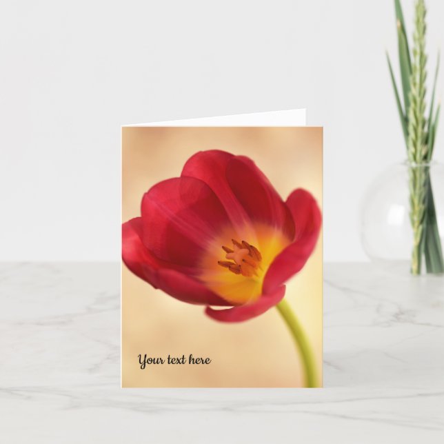 Single Pink Tulip Greeting card (Front)