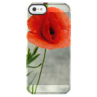 Single poppy flower photo clear iPhone SE/5/5s case