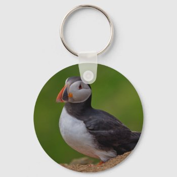 Single Puffin Keychain by Welshpixels at Zazzle