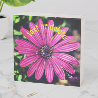 Single Purple African Daisy Flower Personalized Wooden Box Sign
