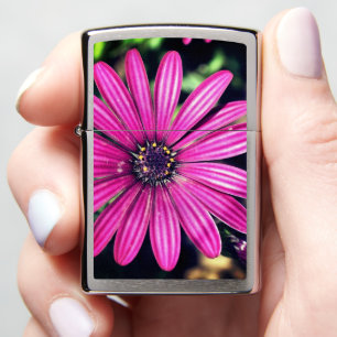 Single Purple African Daisy Flower Zippo Lighter
