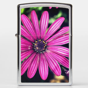 Single Purple African Daisy Flower Zippo Lighter