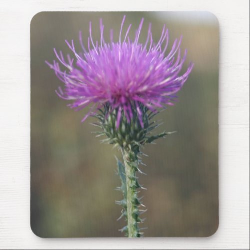 Single Purple flower on a Thorn Mouse Pad