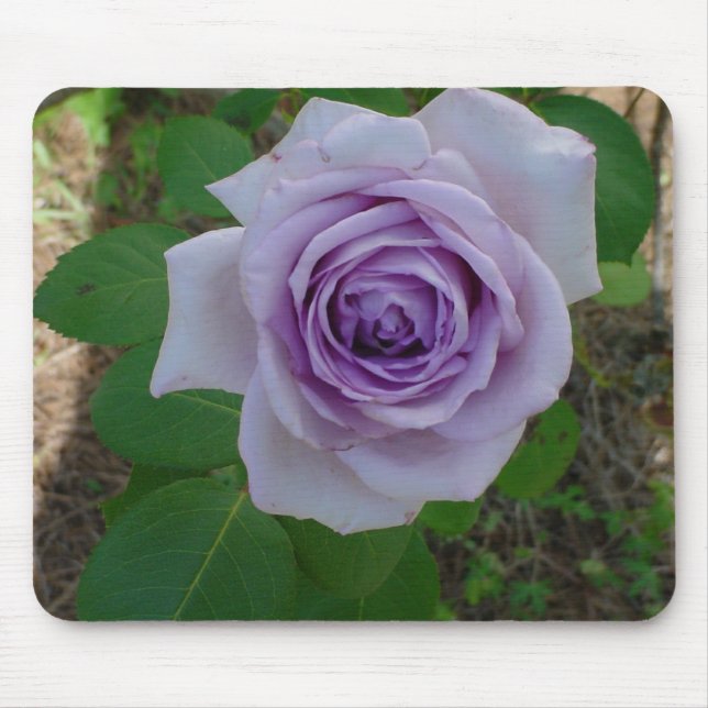 Single Purple Rose Mouse Pad (Front)