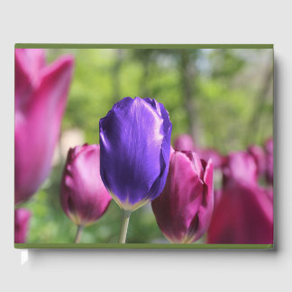 Single Purple Tulip Guest Book