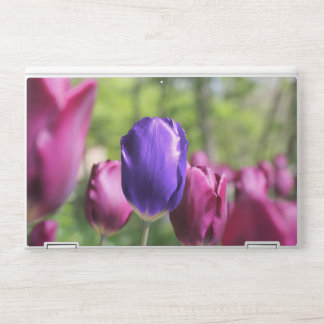 Single Purple Tulip HP Laptop Skin