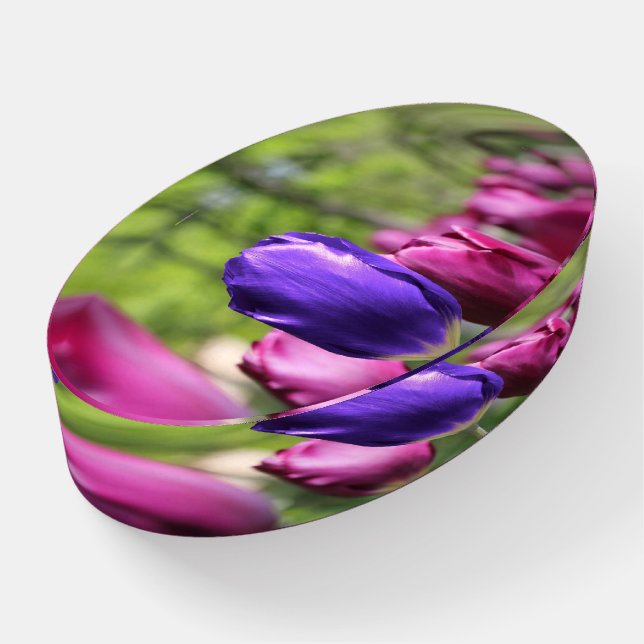 Single Purple Tulip Paperweight (Angled)