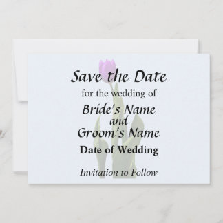 Single Purple Tulip Save The Date