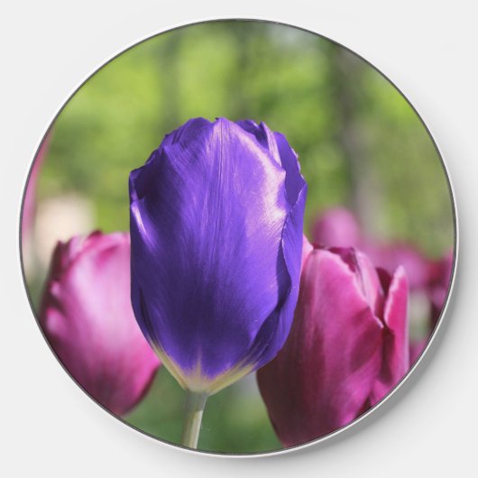 Single Purple Tulip Wireless Charger (Front)