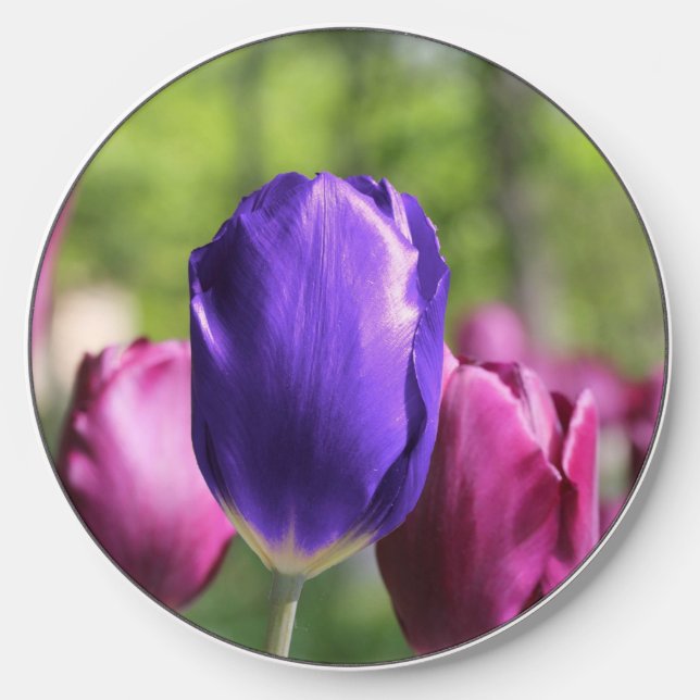 Single Purple Tulip Wireless Charger (Front)