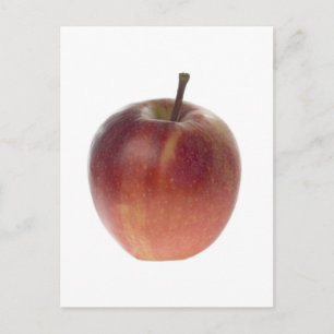 Single red apple postcard