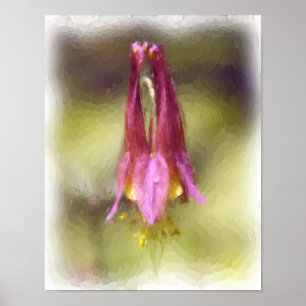 Single Red Columbine Flower Art Photo Painting Poster
