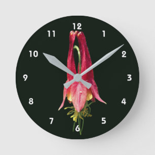 Single Red Columbine Flower Round Clock