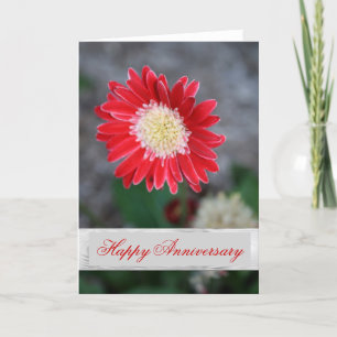 Single red flower Wedding Anniversary Greeting Card