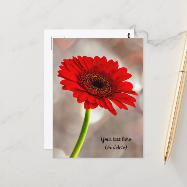 Single Red Gerbera Postcard (Front/Back In Situ)