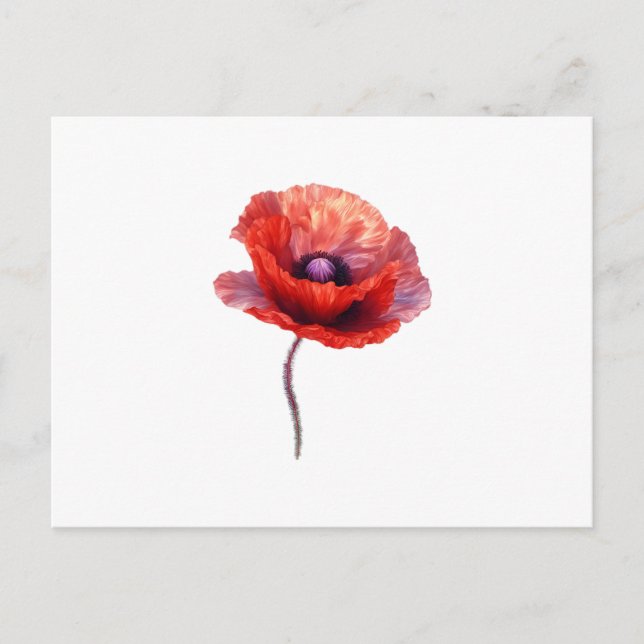 Single Red Poppy Flower Postcard (Front)