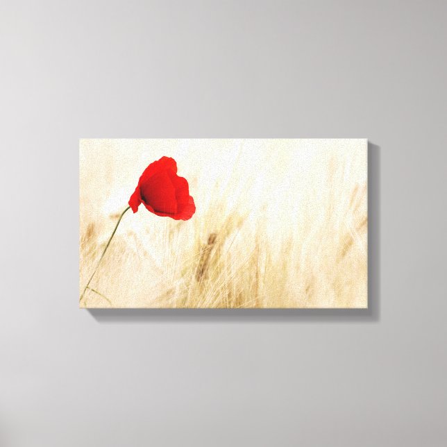 Single Red Poppy in a Grassy Field Canvas Print (Front)