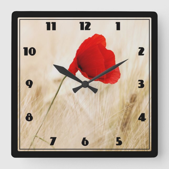 Single Red Poppy in a Grassy Field Square Wall Clock (Front)