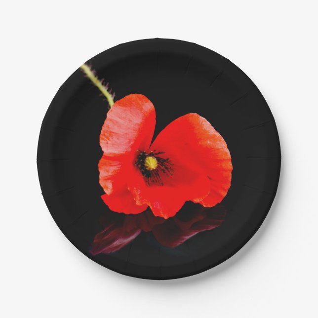 Single red poppy on black paper plates (Front)