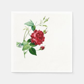 Single Red Redoute Rose Paper Napkins