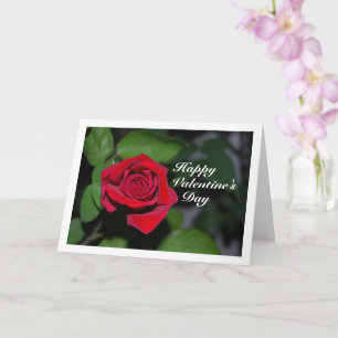 Single Red Rose and Green Leaves Card