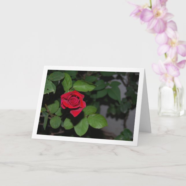 Single Red Rose and Green Leaves Card (Orchid)