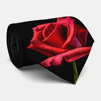 Single Red Rose Black Background Tie by RewStudio at Zazzle