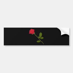 Single Red Rose Bumper Sticker