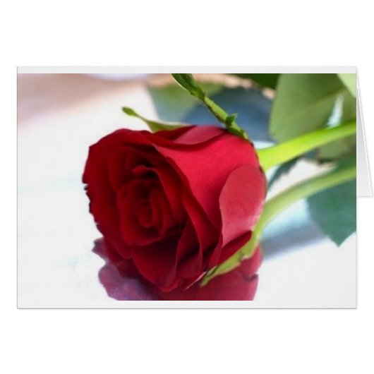 single red rose cards (Front Horizontal)