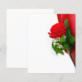 Single Red Rose – Floral White Background (Front/Back)