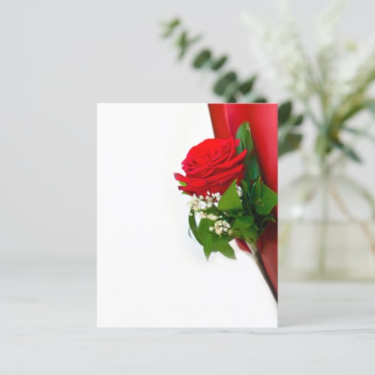 Single Red Rose – Floral White Background (Standing Front)