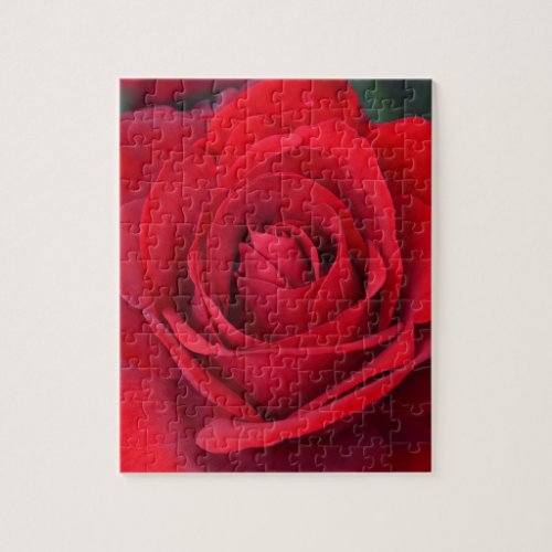 Single red rose in full bloom jigsaw puzzle