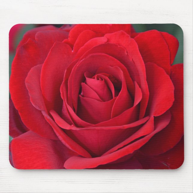 Single red rose in full bloom mouse pad (Front)