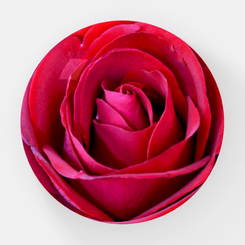 Single red rose paperweight