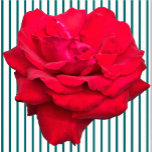 Single Red Rose Sculpture<br><div class="desc">This Single Red Rose design from Zazzle and Elizabeth's Creative Pursuits features a single red rose. It is also available with a single yellow rose, a single pink rose, or a single white rose. Red roses symbolize love and passion, yellow roses symbolize friendship, pink roses symbolize admiration or affection, and...</div>