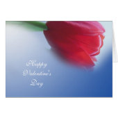 Single red tulip flower (Front Horizontal)