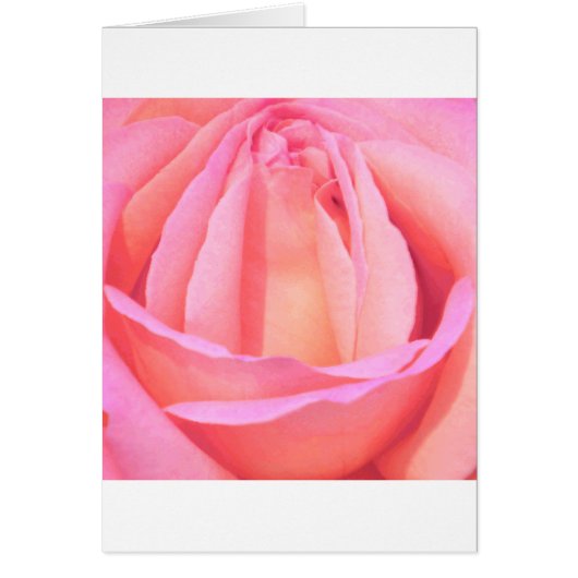 Single Rose_ Cards (Front)