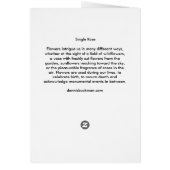 Single Rose Cards (Back)